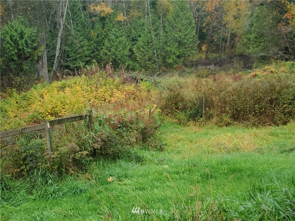380 Cain Lake Road Sedro-Woolley, WA 98284 - Photo 16 of 20 Gallery Image 16