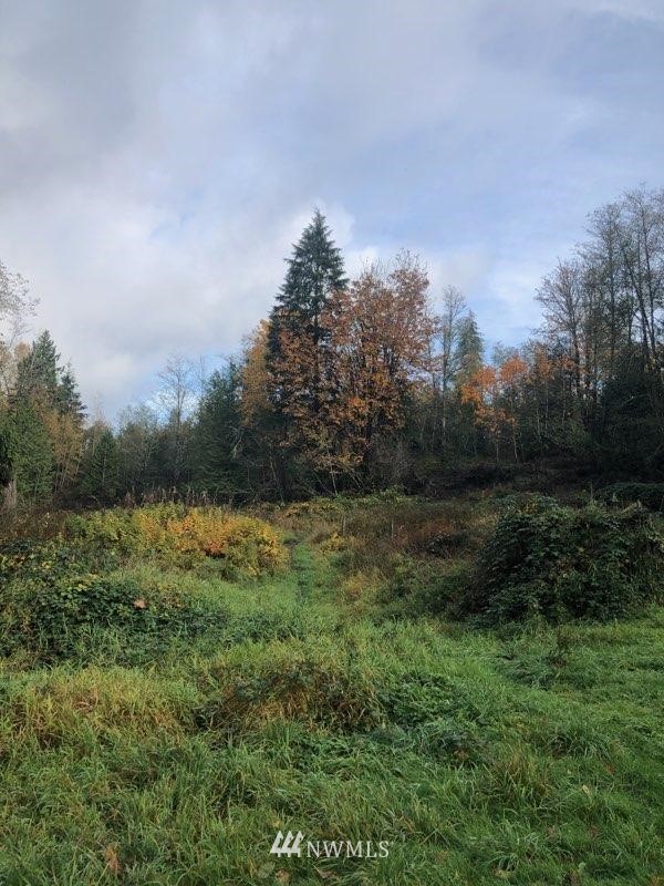 380 Cain Lake Road Sedro-Woolley, WA 98284 - Photo 20 of 20 Gallery Image 20