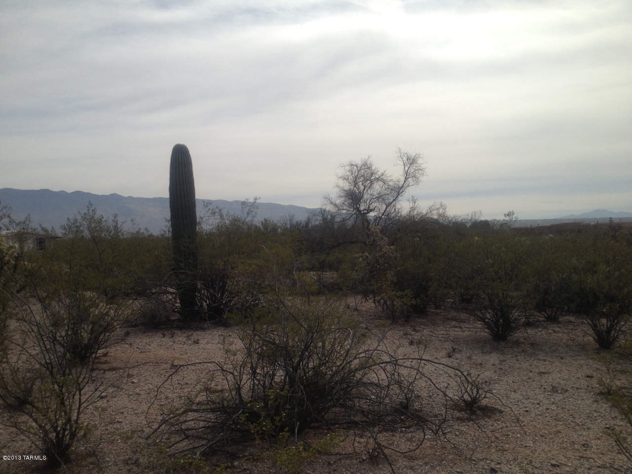 10101 East Kleindale Road, Unit APPROX Tucson, AZ 85749 - Photo 5 of 8