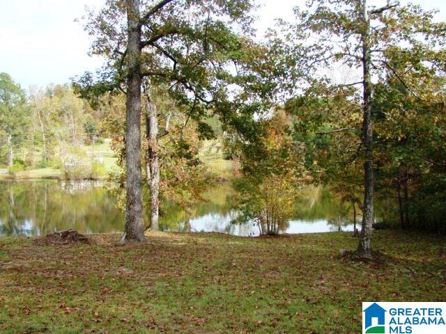 11877 Highway 431 Ohatchee, AL 36271 - Photo 19 of 32