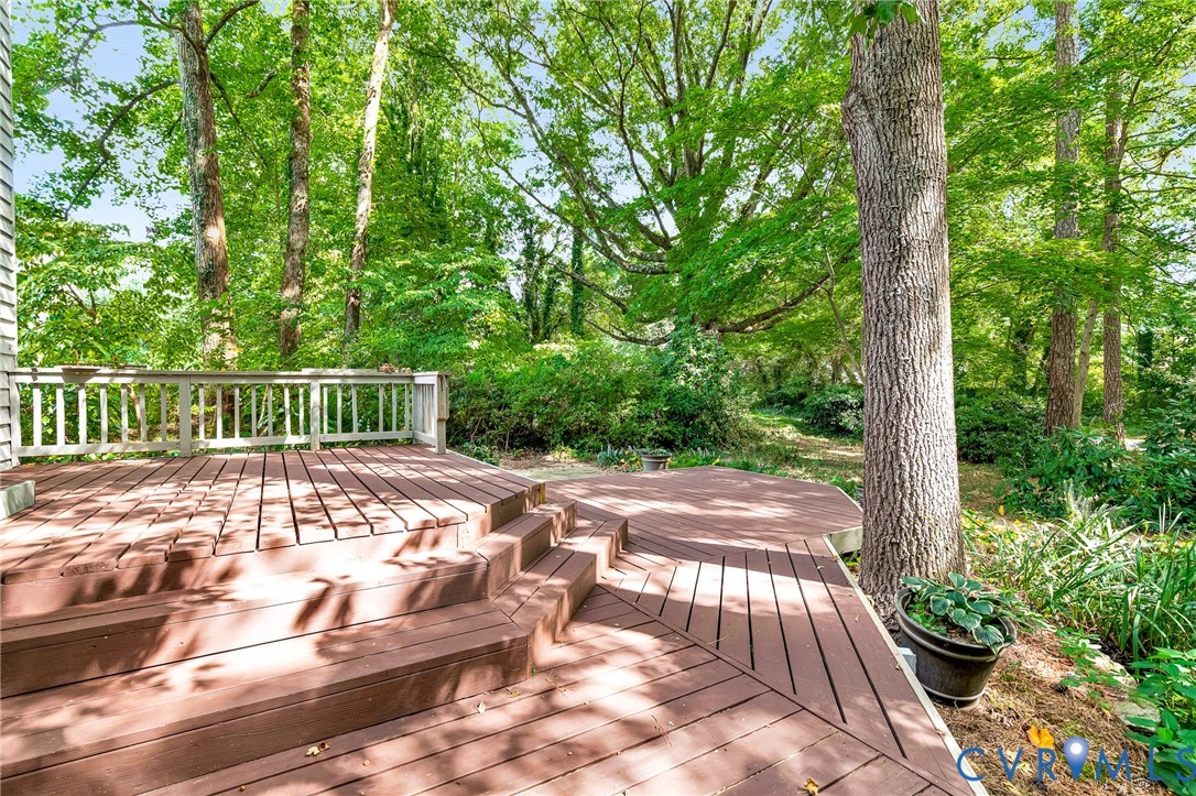 8703 Ewes Court Chesterfield, VA 23236 - Photo 30 of 31 a view of backyard with a patio