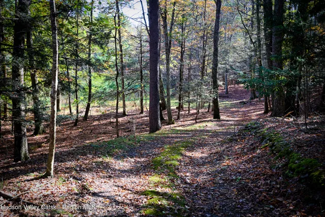 $625,000 | 0 Band Camp, Saugerties, NY 12477