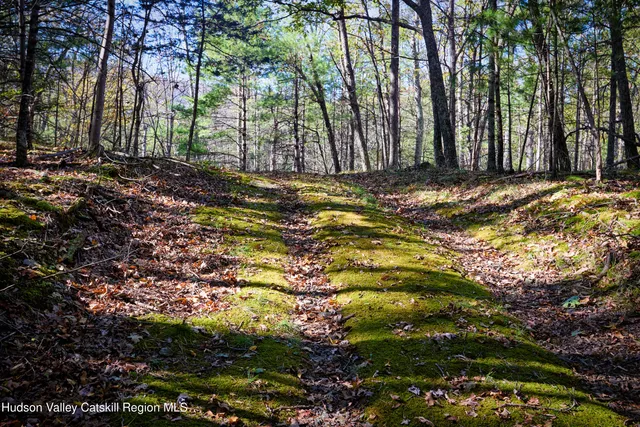 $625,000 | 0 Band Camp, Saugerties, NY 12477