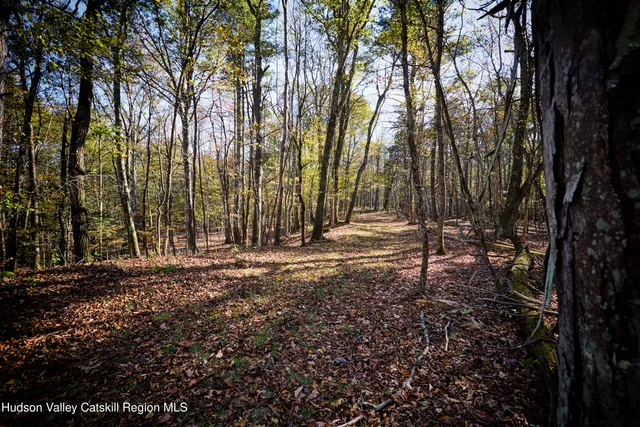 $625,000 | 0 Band Camp, Saugerties, NY 12477