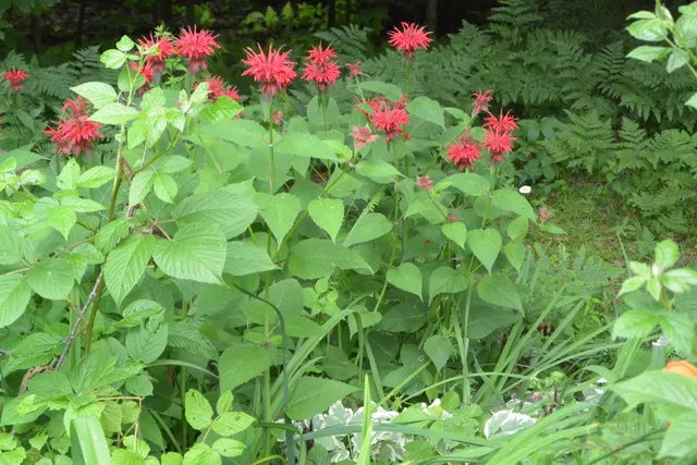 $330,000 | 823 Country Land Drive, Haverhill, NH 03774