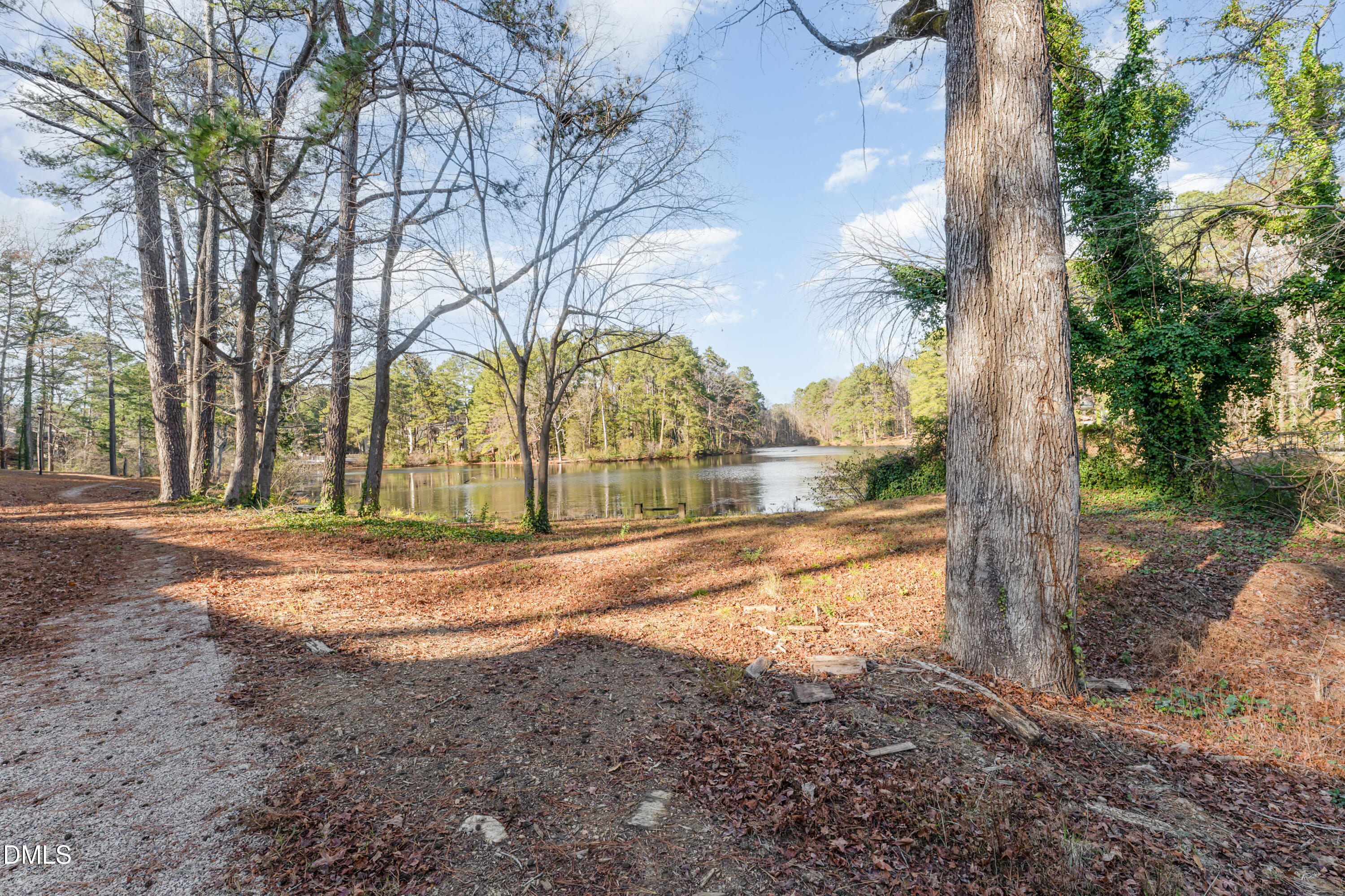 5073 Tall Pines Court Raleigh, NC 27609 - Photo 28 of 32 a view of yard with tree