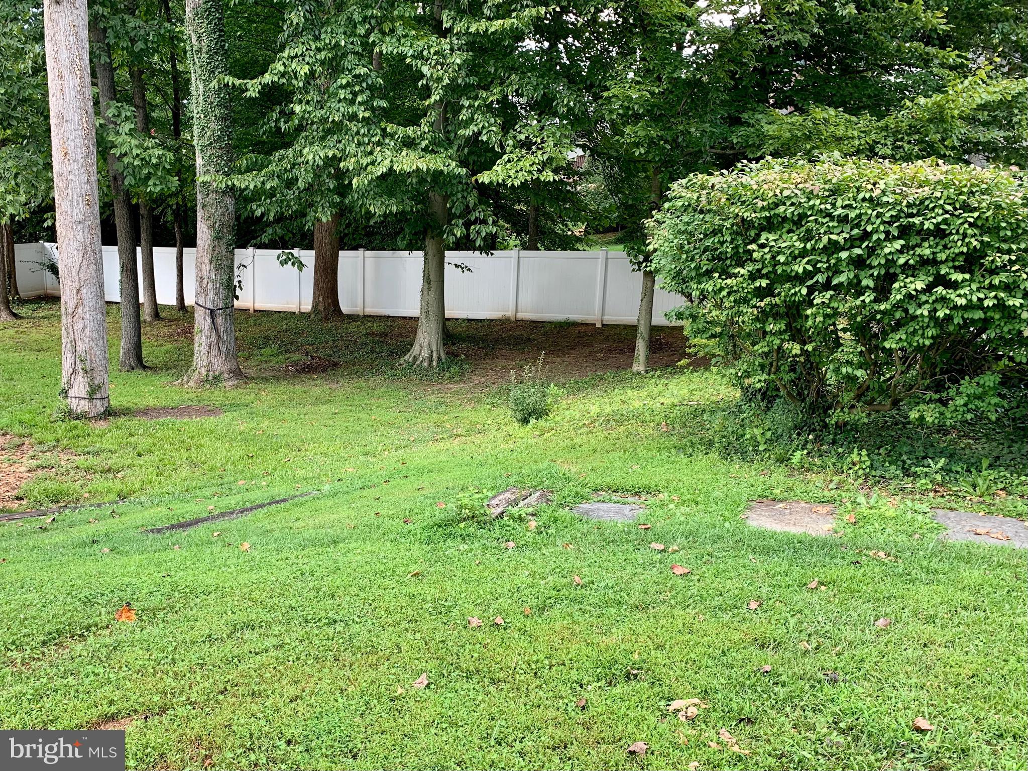 7004 Nevis Road Bethesda, MD 20817 - Photo 5 of 26