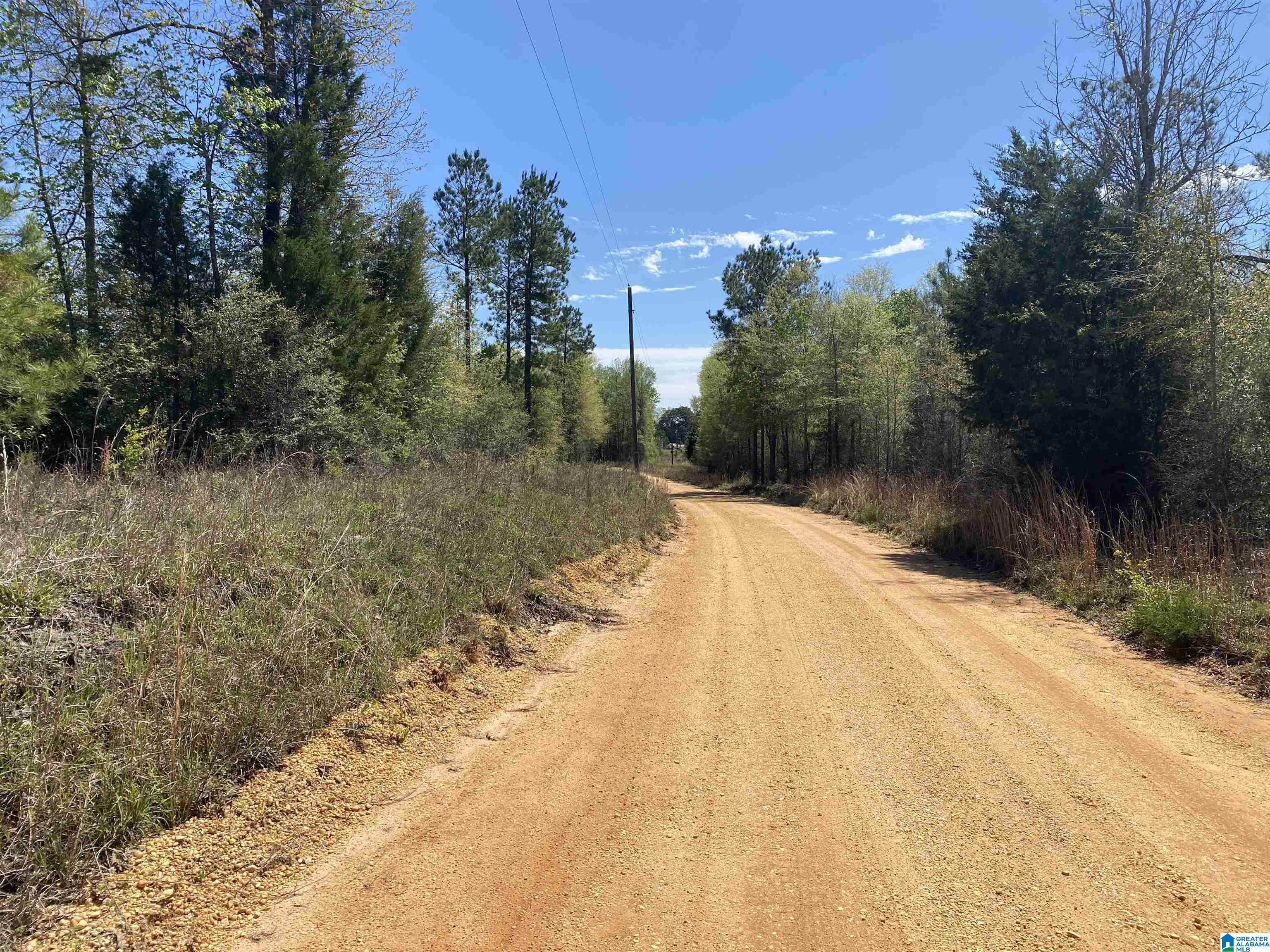0 Richardson Road Brewton, AL 36426 - Photo 1 of 47