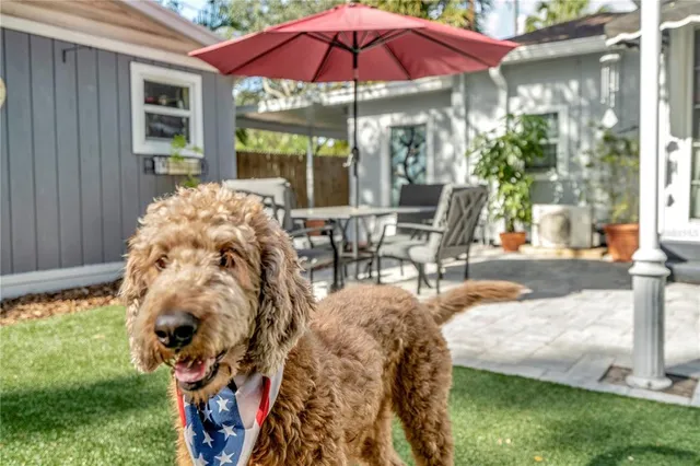 $6,495 | 3002 West Alline Avenue, Tampa, FL 33611