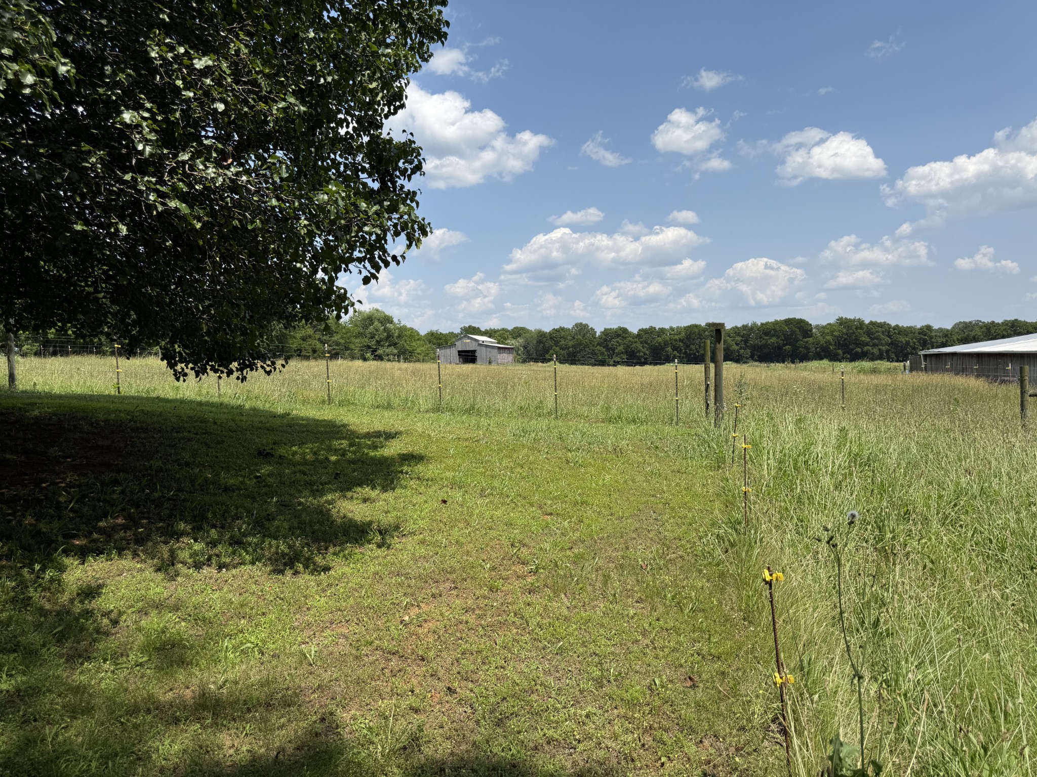 3330 Booker Farm Road Mount Pleasant, TN 38474 - Photo 75 of 79 Gallery Image 75