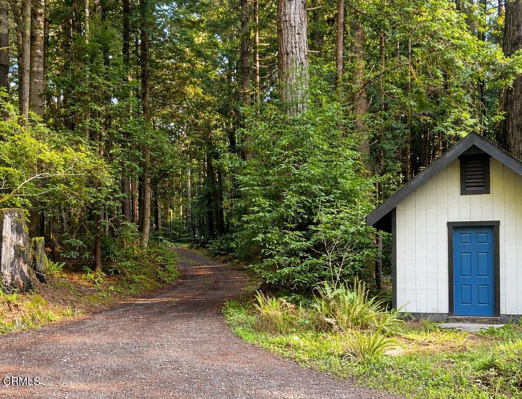 19400 Dorffi Road Fort Bragg, CA 95437 - Photo 34 of 49 Driveway