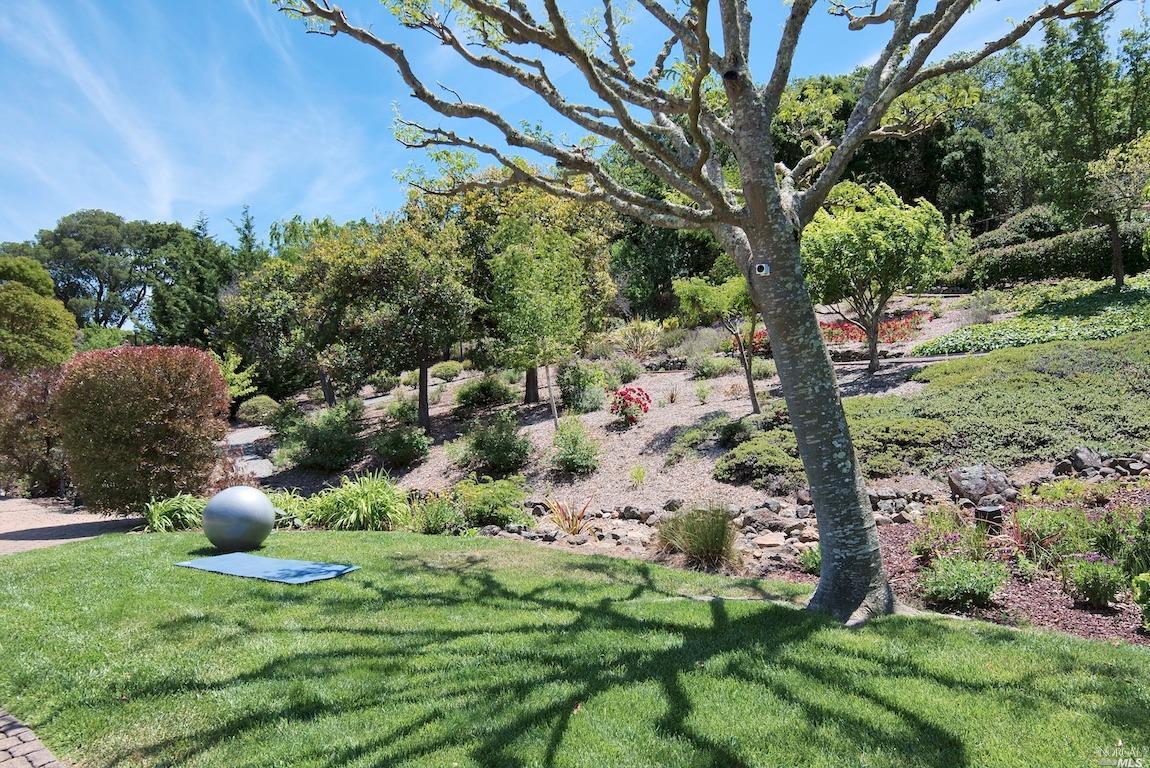 35 Oak Valley Drive Novato, CA 94947 - Photo 6 of 59