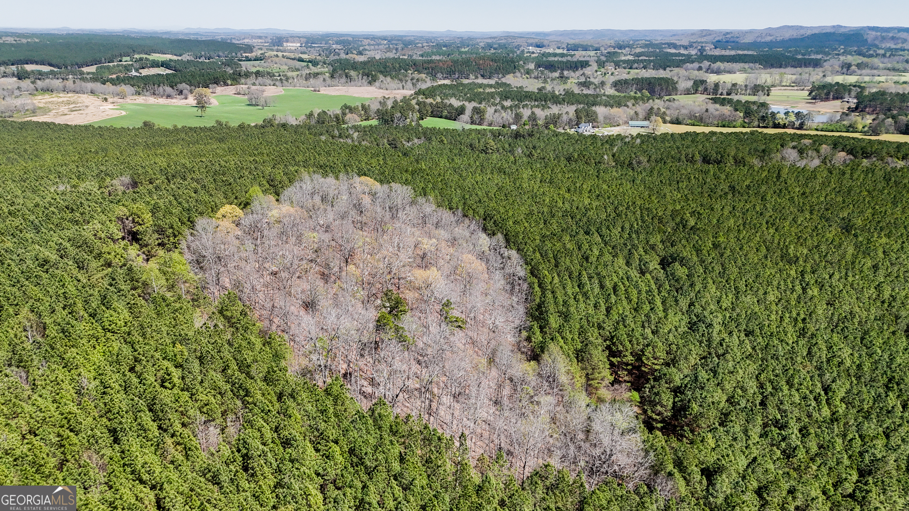 403-acres Youngs Farm Road Cedartown, GA 30125 - Photo 12 of 14