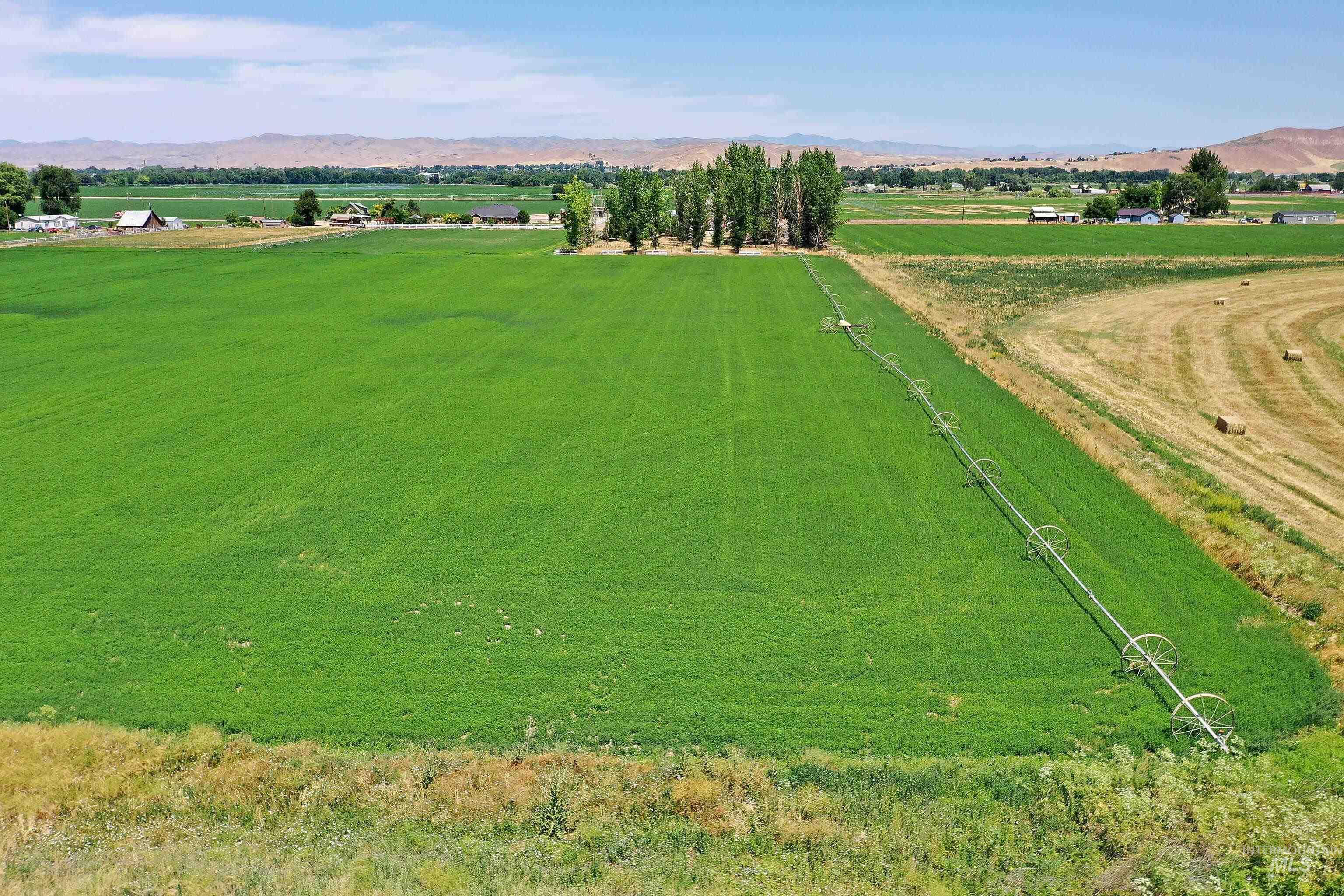 Tbd Ross Road Weiser, ID 83672 - Photo 12 of 14 Overview of rural landscape with a mountain backdrop