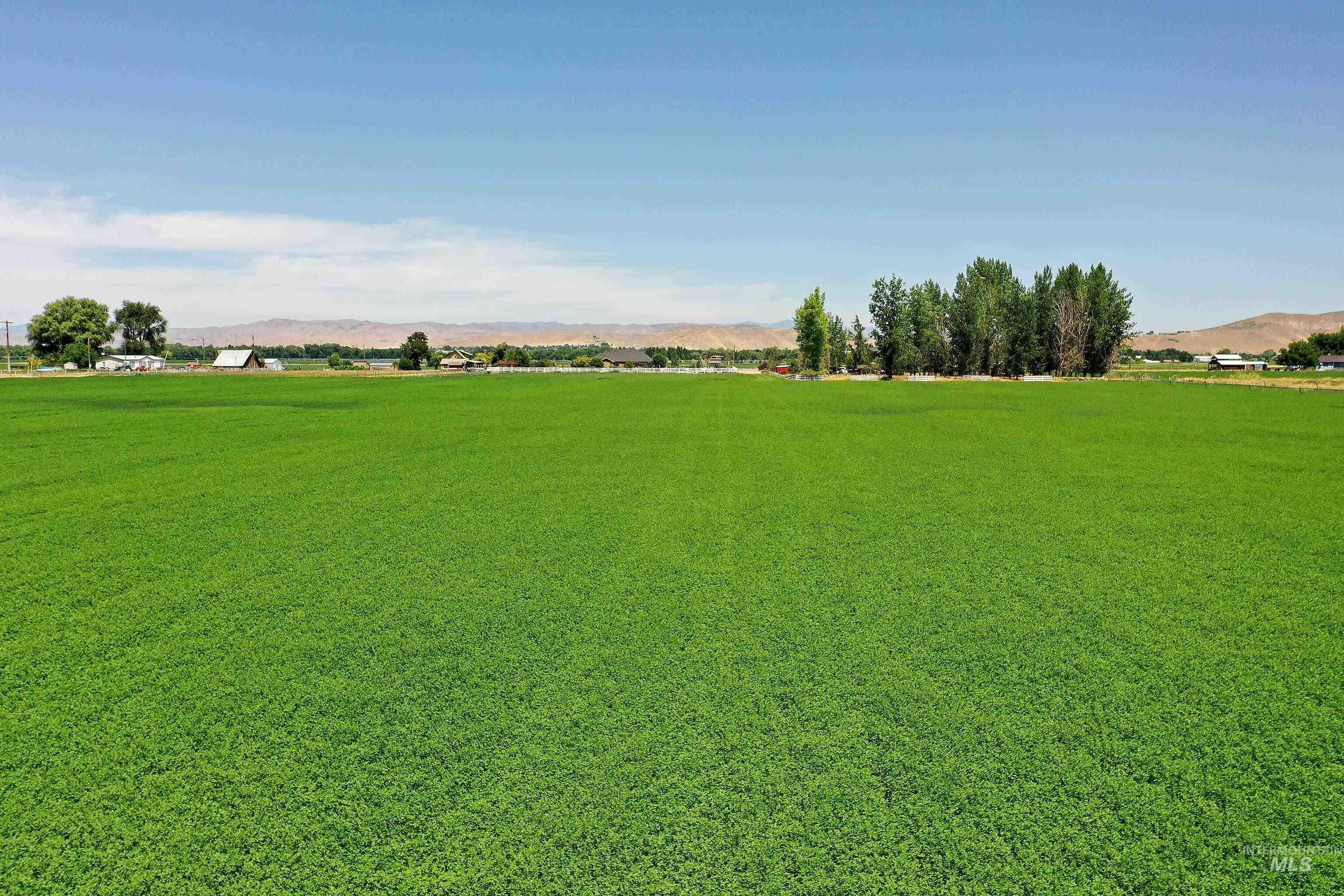 Tbd Ross Road Weiser, ID 83672 - Photo 13 of 14 View of yard featuring a view of countryside and a mountain view