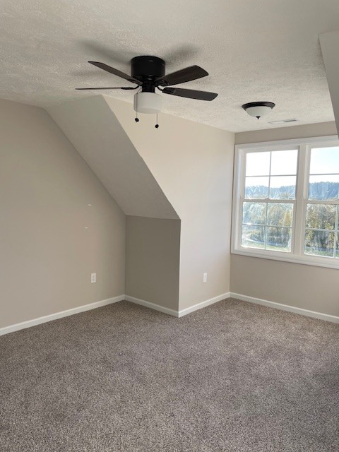 2751 Mc Connell Road Cornersville, TN 37047 - Photo 14 of 19