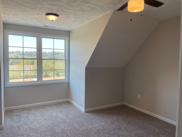 2751 Mc Connell Road Cornersville, TN 37047 - Photo 8 of 19