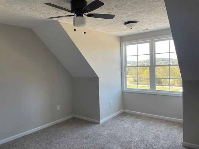 2751 Mc Connell Road Cornersville, TN 37047 - Photo 10 of 19