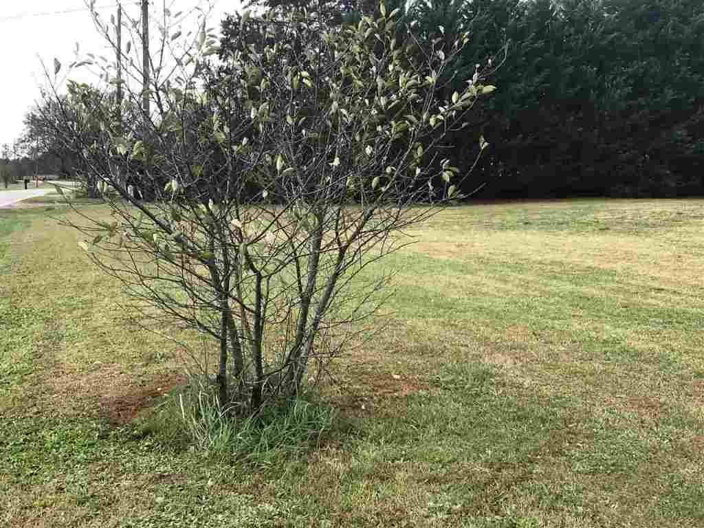 405 Willingham Road Belton, SC 29627 - Photo 27 of 27