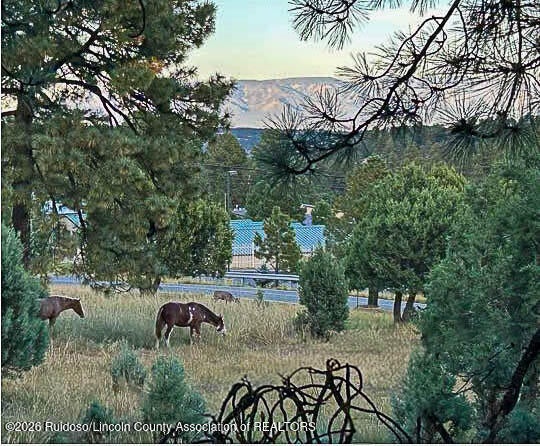 102 Alto Alps Road, Unit 5 Alto, NM 88312 - Photo 12 of 34 Gallery Image 12