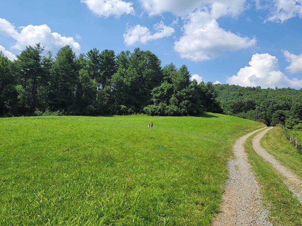 3569 Powerhouse Road Independence, VA 24348 - Photo 36 of 108 Gallery Image 36