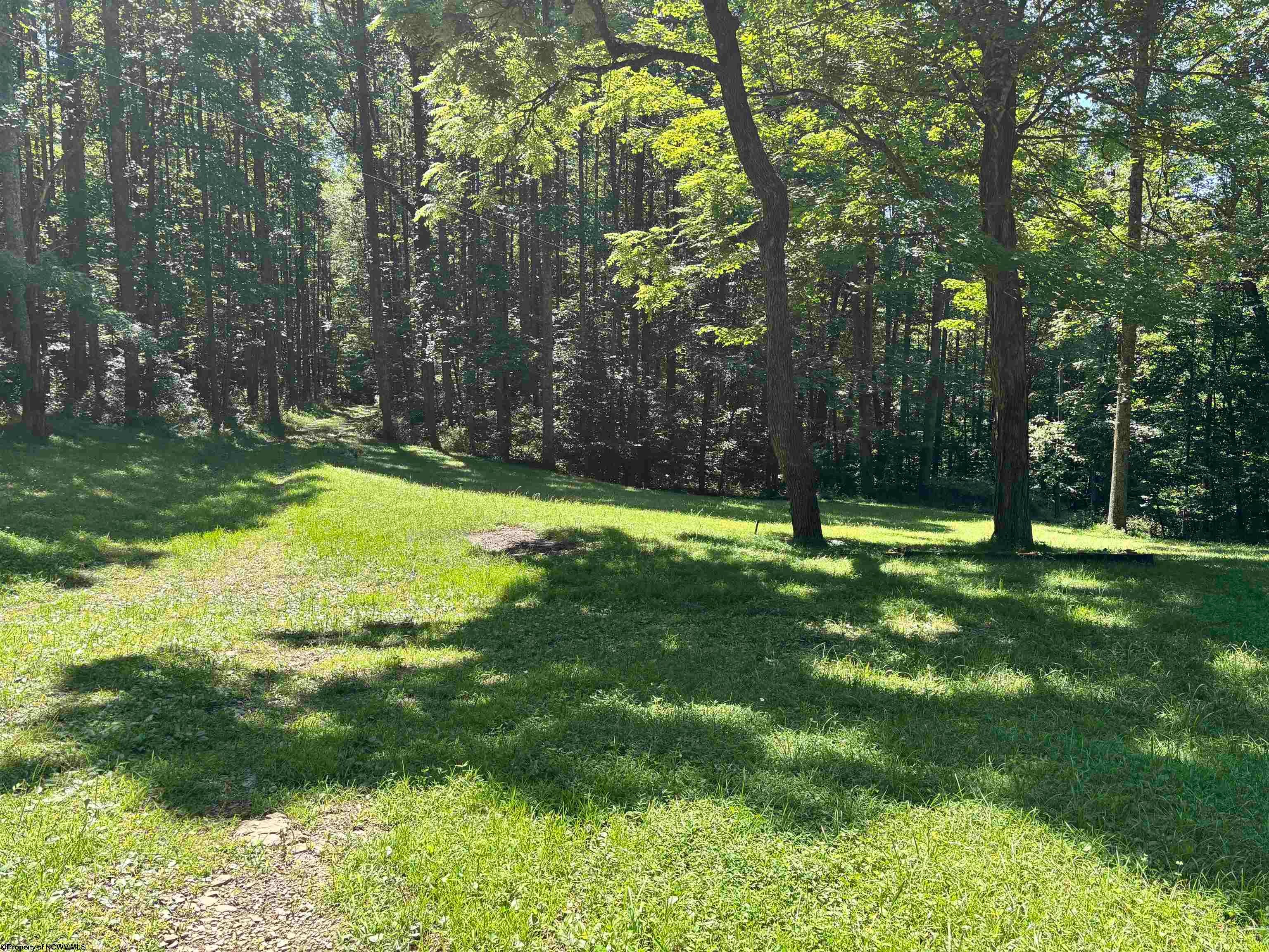 110 Danner Road Belington, WV 26250 - Photo 20 of 22 Gallery Image 20