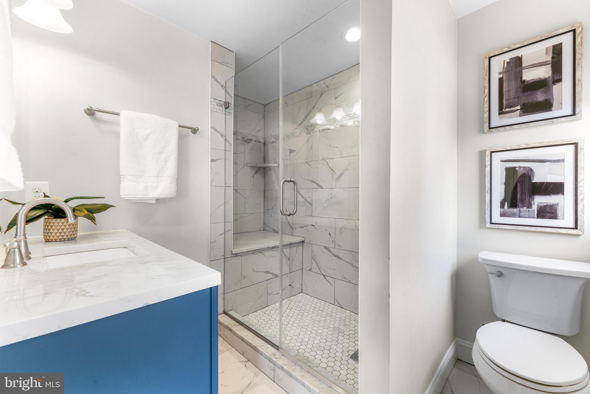 5512 Woodlawn Road Baltimore, MD 21210 - Photo 25 of 46 Primary Bath