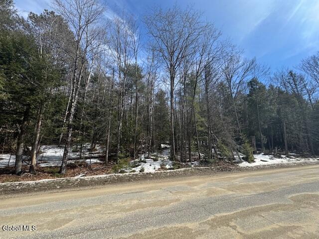 358 River Road Johnsburg, NY 12862 - Photo 1 of 5 IMG_3097