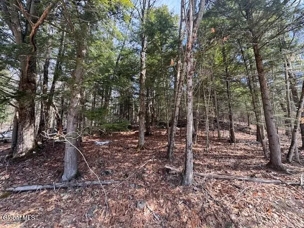 $29,900 | 358 River Road, Johnsburg, NY 12862