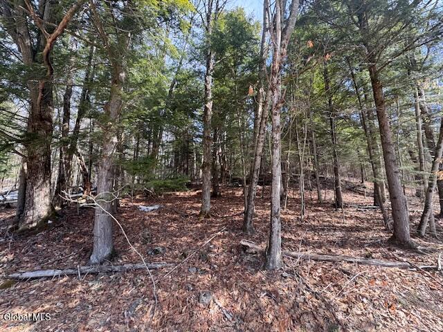 358 River Road Johnsburg, NY 12862 - Photo 2 of 5 IMG_3099