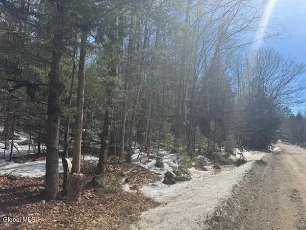 $29,900 | 358 River Road, Johnsburg, NY 12862