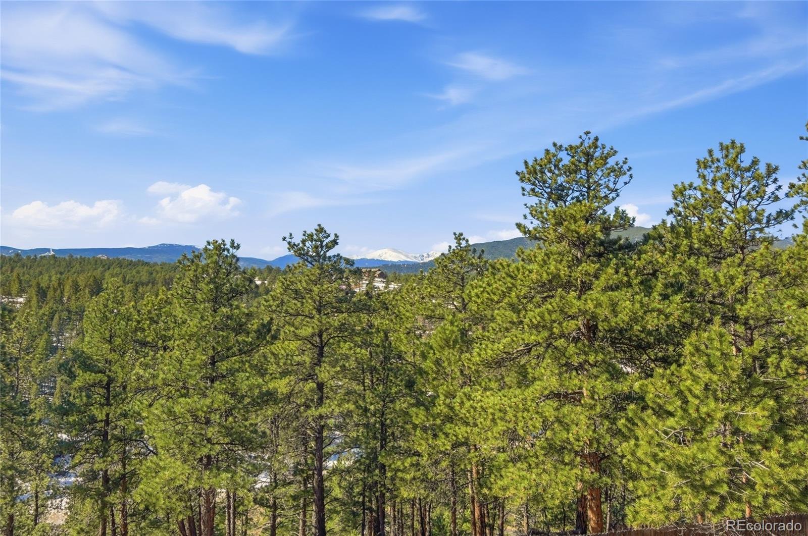 2050 Kerr Gulch Road Evergreen, CO 80439 - Photo 42 of 50