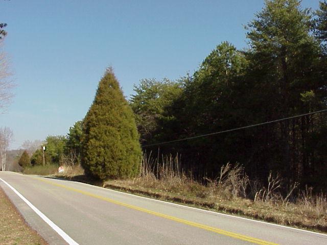 6411 Shirley Pond Road Harrison, TN 37341 - Photo 1 of 9 Primary Photo