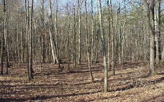 6411 Shirley Pond Road Harrison, TN 37341 - Photo 6 of 9 Additional Photo