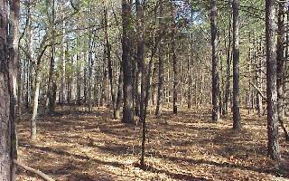 6411 Shirley Pond Road Harrison, TN 37341 - Photo 7 of 9 Additional Photo