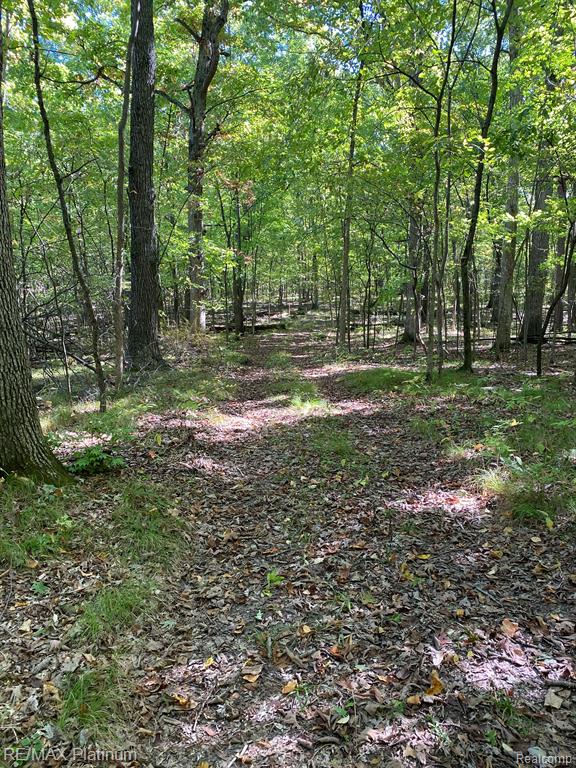9532 Scully Road Whitmore Lake, MI 48189 - Photo 11 of 27