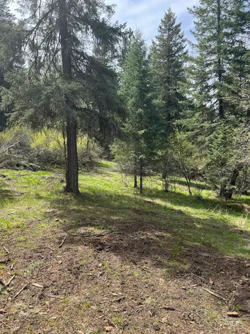 $117,000 | Parcel B Old Elk City Wagon Road, Stites, ID 83552