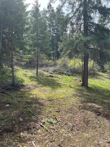 $117,000 | Parcel B Old Elk City Wagon Road, Stites, ID 83552