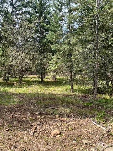$117,000 | Parcel B Old Elk City Wagon Road, Stites, ID 83552