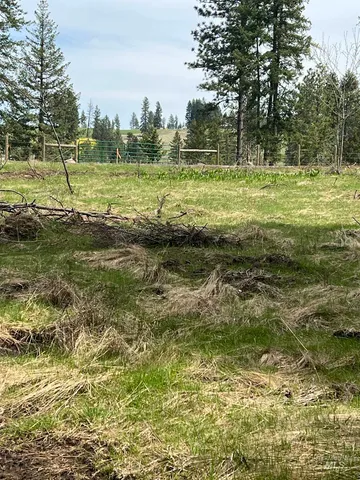 $117,000 | Parcel B Old Elk City Wagon Road, Stites, ID 83552