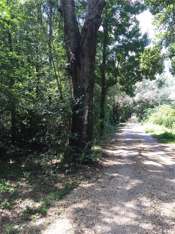 0 Archie Wallace Road Franklinton, LA 70438 - Photo 2 of 7 Gallery Image 2