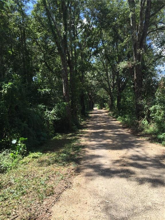 0 Archie Wallace Road Franklinton, LA 70438 - Photo 3 of 7 Gallery Image 3
