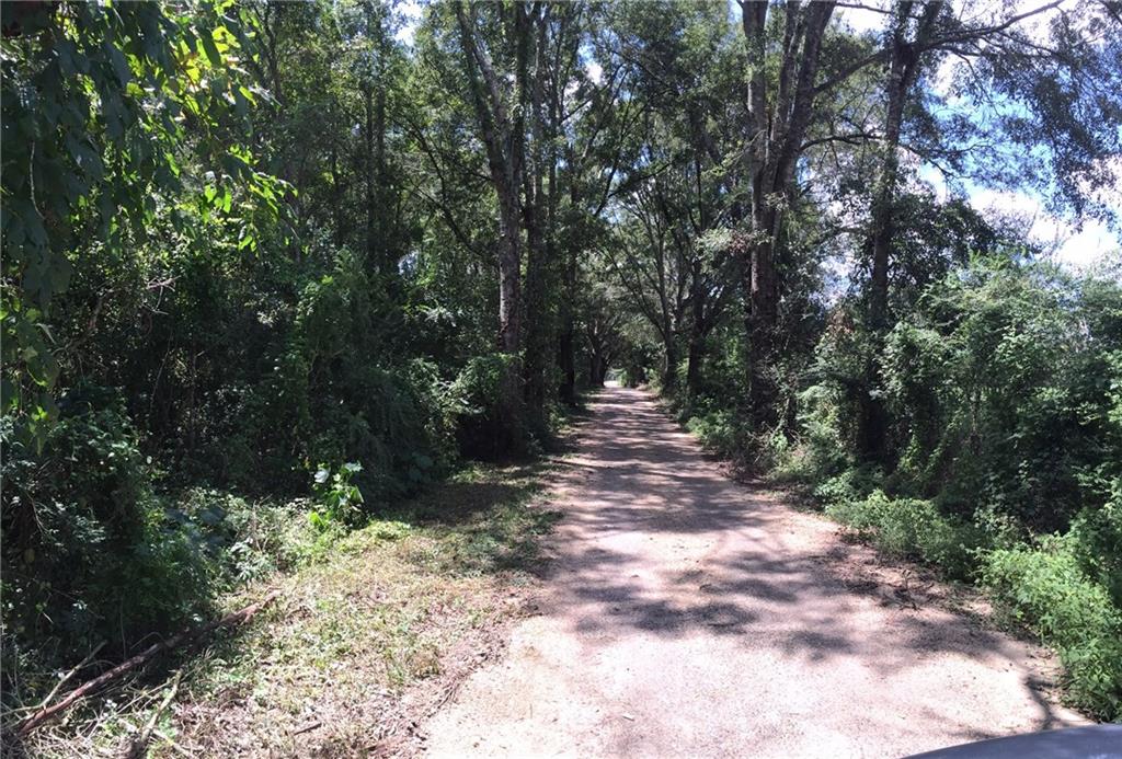 0 Archie Wallace Road Franklinton, LA 70438 - Photo 4 of 7 Gallery Image 4
