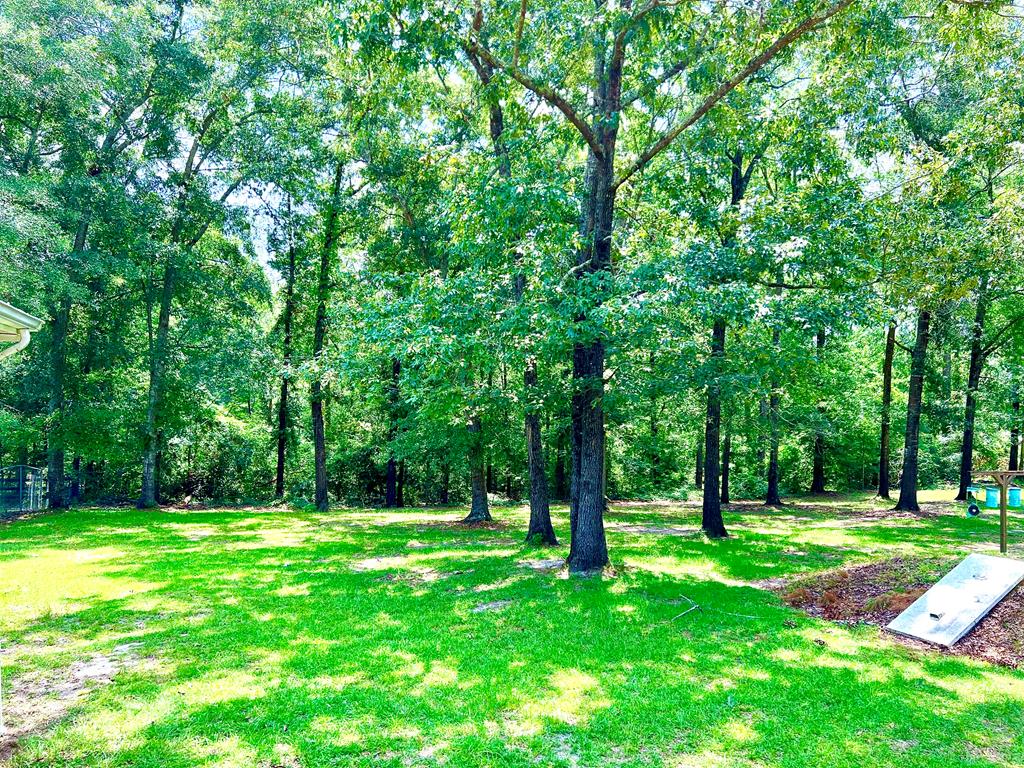 242 McAllister Road Abbeville, AL 36310 - Photo 40 of 61