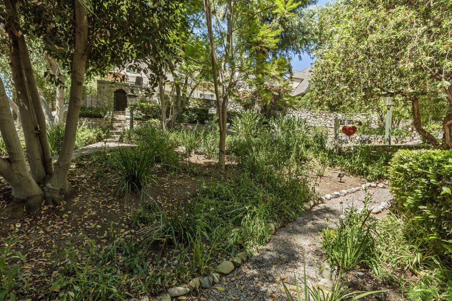 267 Fairview Road Ojai, CA 93023 - Photo 35 of 50 a view of a forest with a tree