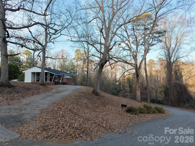 a view of a forest with trees
