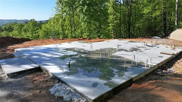 a view of a lush green forest with trees in the background