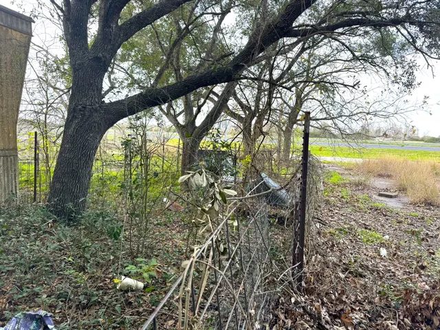a view of a yard with a tree