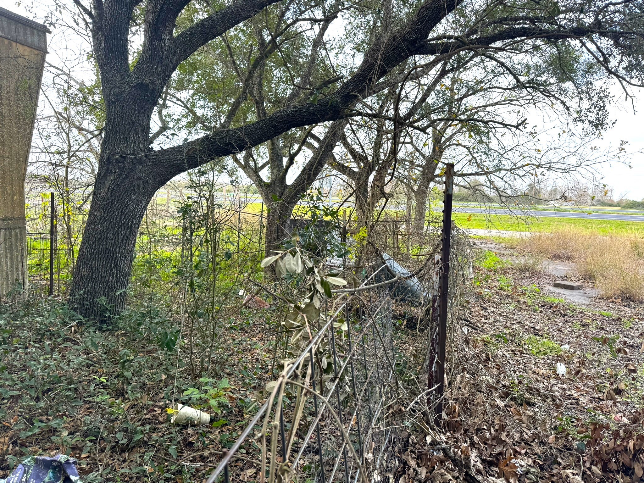 1103 Highway 59 Edna, TX 77957 - Photo 13 of 26 a view of a yard with a tree