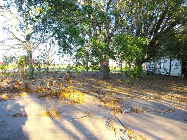 a view of a yard with a tree